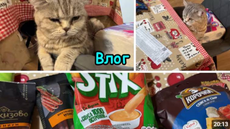 2152 ПЕЛЬМЕНИ из КАФЕ\ПОКУПКА ПРОДУКТОВ на 9500 р.\ПРО ЕДУ, ПОКУПКИ и ГОТОВКУ\КРЫЛЬЯ из ВКУСНОиТОЧКА