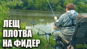 Как я наловил плотвы и подлещика на фидер! Моя тактика ловли на Дону