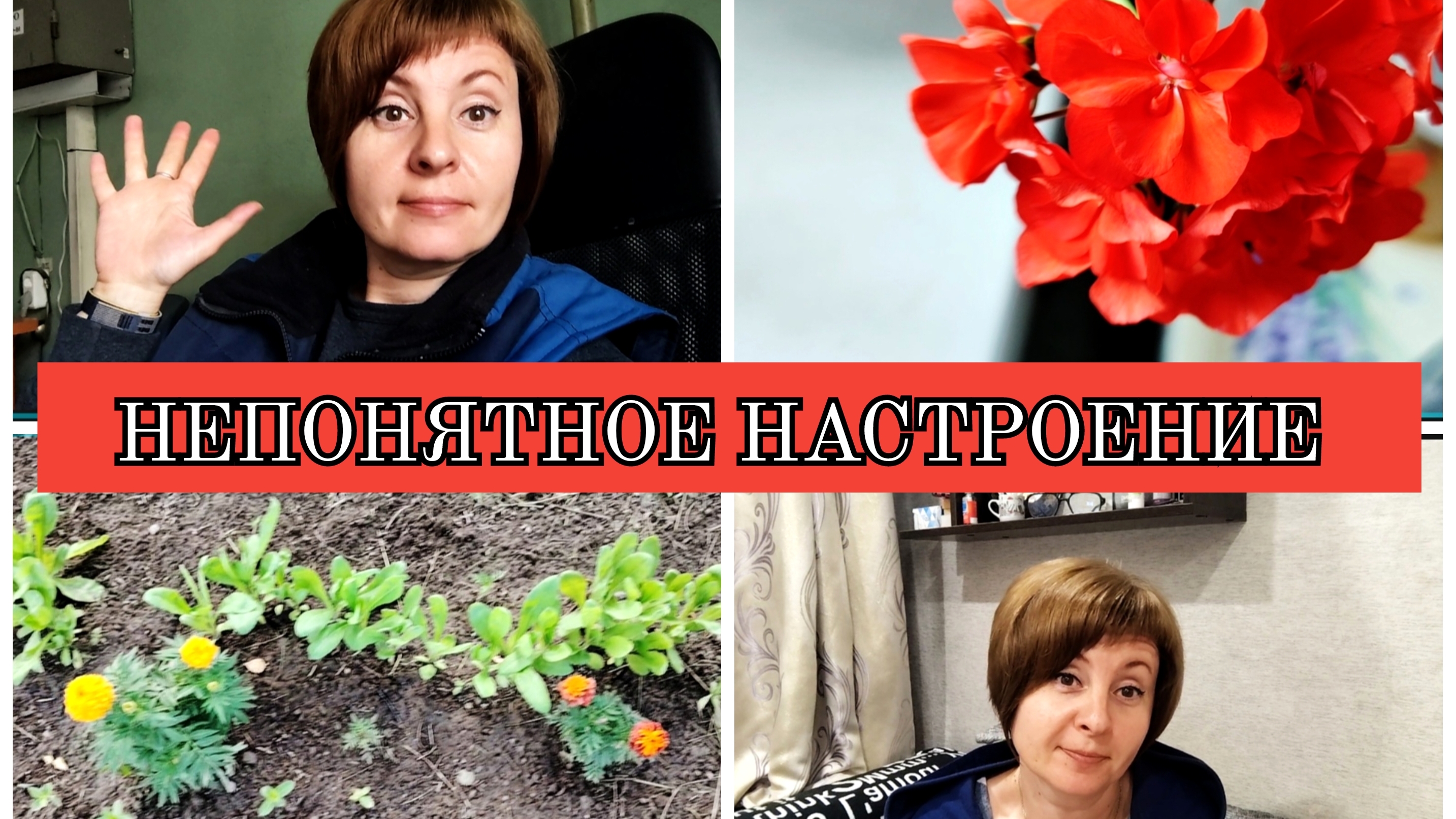 25-06-2025 ТРЕВОЖНОЕ НАСТРОЕНИЕ🤦ОБЗОР ЦВЕТОВ🌺🪻🌷🥀ОТВЕТЫ НА КОММЕНТАРИИ🙂