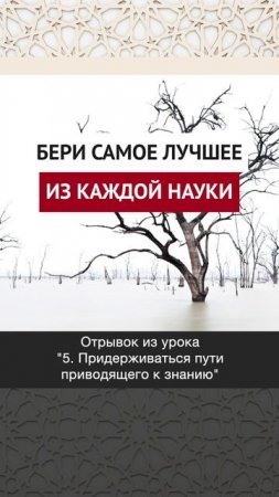 Бери самое лучшее из каждой науки || Динар абу Идрис #ислам #факты #истина #вера #коран #аллах #мир