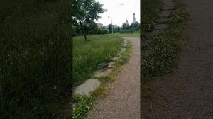 Лето после дождя