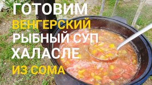 Готовим венгерский рыбный суп в казане