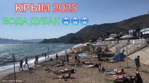 КРЫМ 2025 | ОРДЖОНИКИДЗЕ | 24 ИЮНЯ ❤️🌊⛰️🏖️☀️🌹