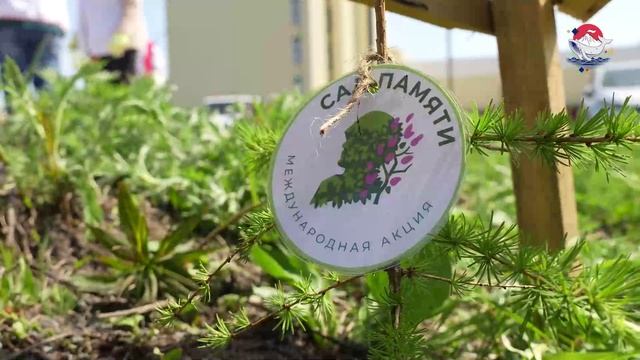 «Сад памяти»!