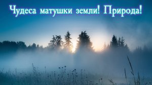 Чудеса матушки земли! Природа! Премьера трека!