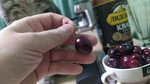 Кто виноват?