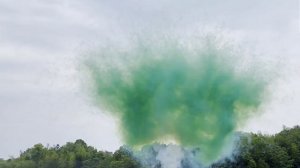 Веерный дневной салют Зеленый