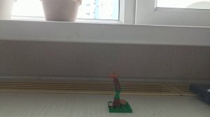 процесс роста дерева