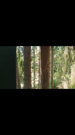 🏘Вид с двухэтажной восьмигранной беседки🏕 в музее-заповеднике📚 А. Н. Островского📝 «Щелыково».