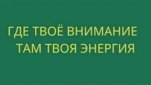 Просветление : Где твоё внимание - там твоя энергия ! ✅ Зачитал Никошо