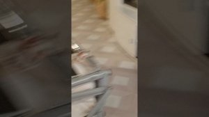 каратэ против самбо серия 21