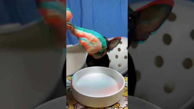 А у вас что на обед