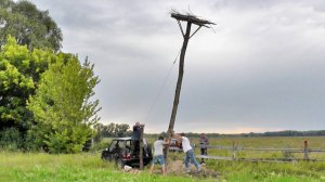 Акция "Дом для лелеки"