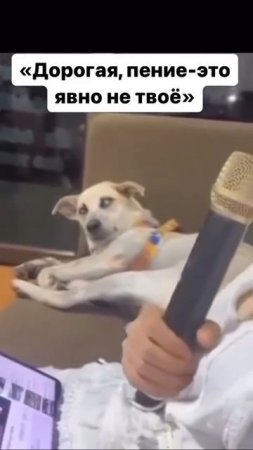 Ну очень выразительный взгляд)