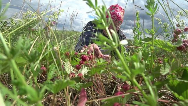 Лесная клубника в пяти минутах от дома