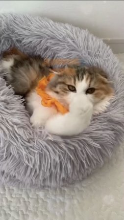 Доброго утречка!