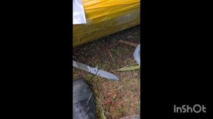 Суточный паёк в Русской армии