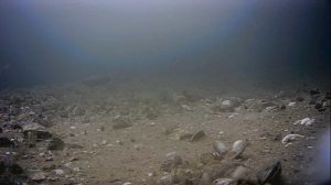 1000045364.mp4Волга гл 5м.25.06.2025г.