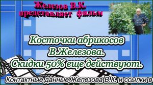 Косточки абрикосов В.Железова. Скидки 50% еще действуют.