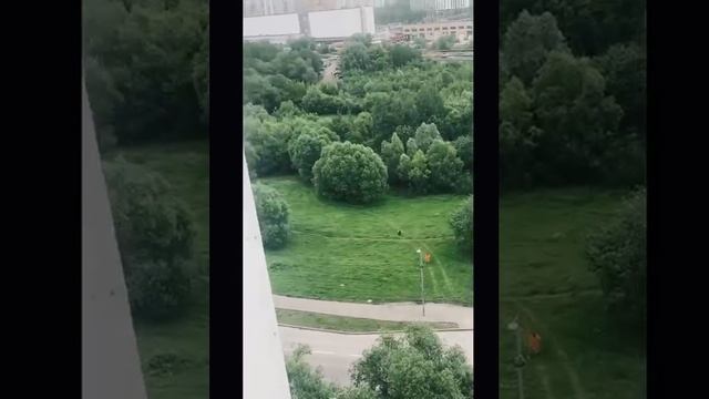 Съемки нетканого материала на природе прошли в Ново-Переделкино