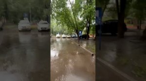 Новый день, новые инсайты, новая книга.