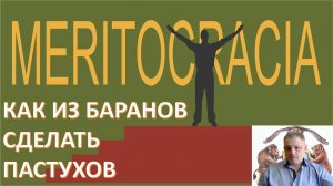 Элиту нации должны составлять те, кто реально этого заслуживает - меритократы. Как их воспитать?