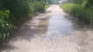 Красота у людей на клумбах перед домом ! Продала комнатное растение,,Тещин язык "носила на продажу !
