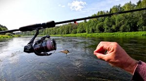 КАК ПОЙМАТЬ ГОЛАВЛЯ В СЛОМ ПОГОДЫ? ВЫРУЧИЛА КЛАССИКА!