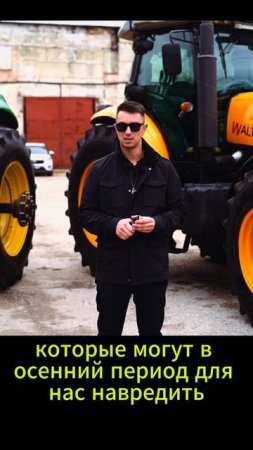 Протравка пшеницы.