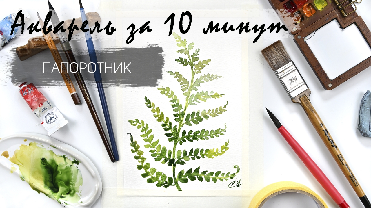 Рисуем папоротник за 10 минут акварелью пошагово. Быстрые зарисовки. Акварель для новичков
