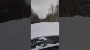 Немного снега вам в ленту!)