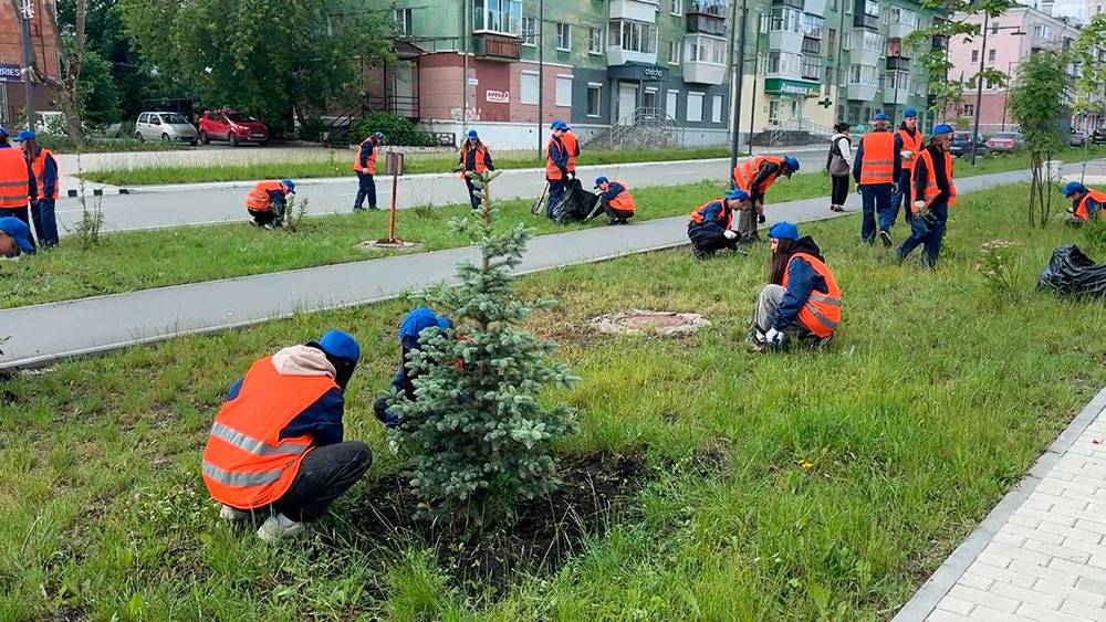 Уют в городе - дело каждого