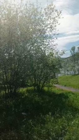 ПОЖАРНЫЕ В ГОСТЯХ У РЕБЯТ В ЛЕТНЕМ ЛАГЕРЕ им.Н.К.КРУПСКОЙ