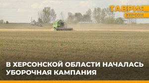 В Херсонской области началась уборочная кампания