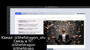 Cryptology 16.0 PRO — Полный слив курса 2025