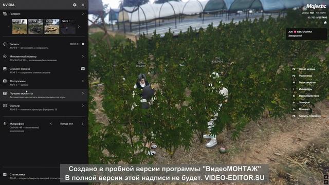 остров 1