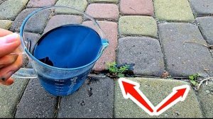 "Как я навсегда избавился от травы🌱 между плитками за 5 минут