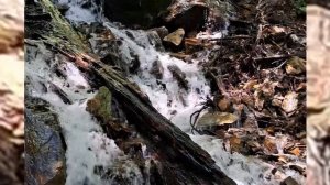 10.06.2025. К водопадам