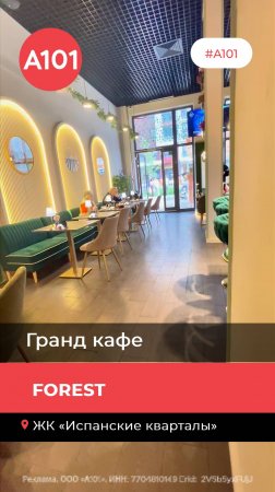Вечер в ресторане Forest:  джаз и скрипка.
