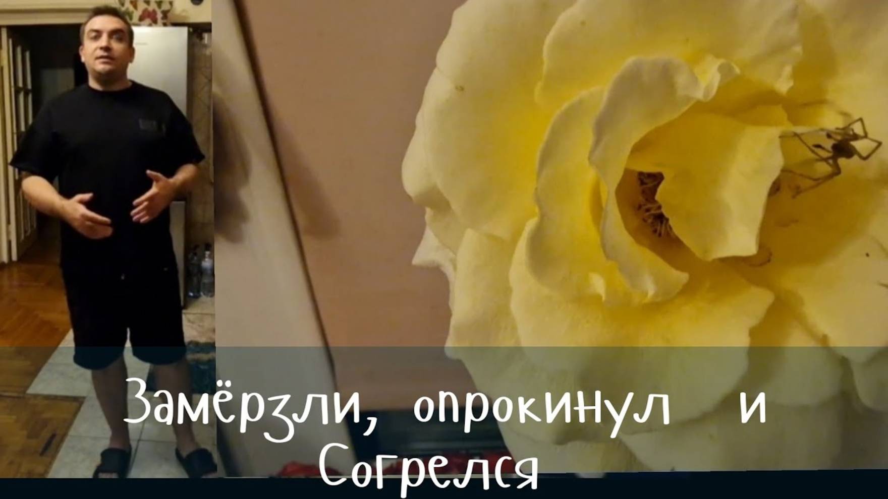 Гарик и Керри- Замёрзли и Согрелись!