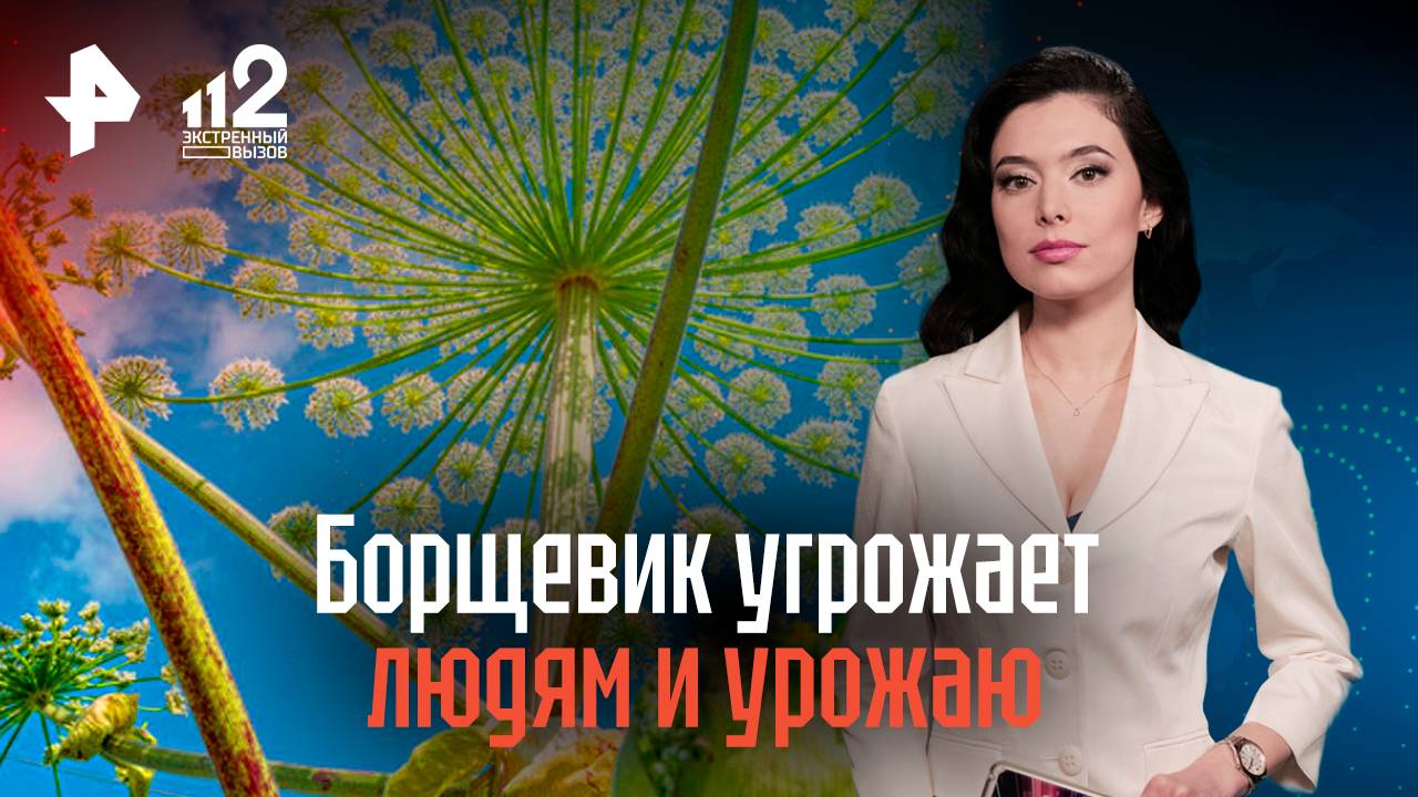 Борщевик угрожает людям и урожаю