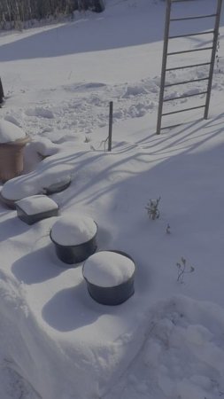 прогулка в теплице