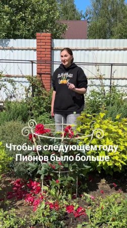 Сделай это, чтобы в следующем году пионов было больше