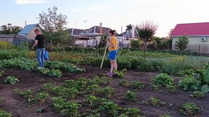ЖИЗНЬ В СТАНИЦЕ./ РЕШАЕМ ПРОБЛЕМУ./ ВСЕ ЗАРОСЛО.