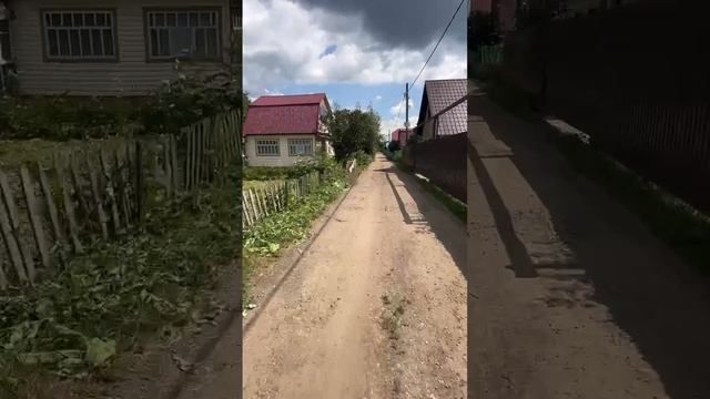 Березка 1