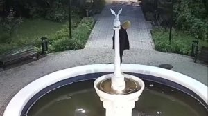 ‼️В подмосковной Дубне мужчина в желтой шапке стащил с городского фонтана гипсовую фигурку голубя‼️