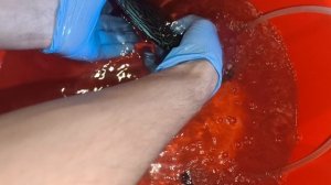 Шикарные дискусы в Волгоград