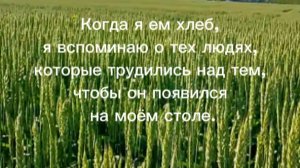 Когда я ем хлеб, вспоминаю о тех людях, которые трудились над тем, чтобы на моём столе появился хлеб
