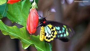 Жизненная история. Муж и новая куртка.