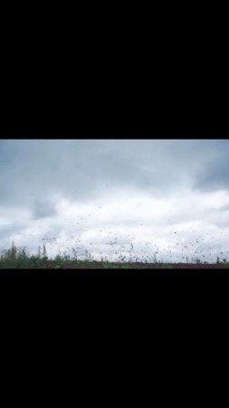 тут матерные слова детям СТРОГО запрещено смотреть